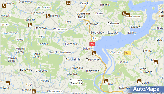 mapa Świdnik gmina Łososina Dolna, Świdnik gmina Łososina Dolna na mapie Targeo