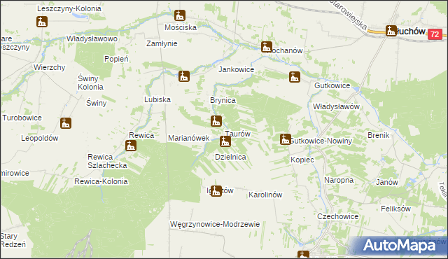 mapa Taurów, Taurów na mapie Targeo