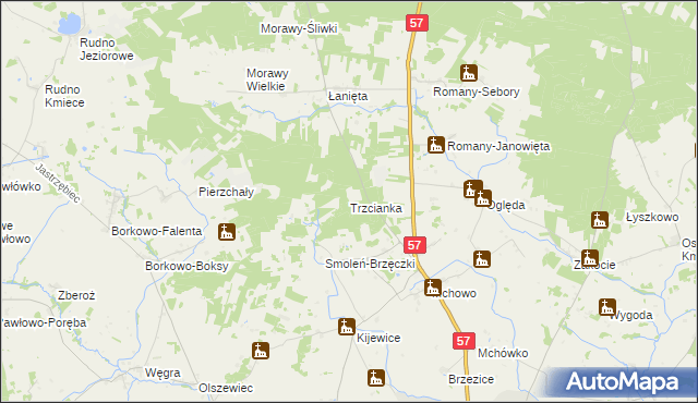 mapa Trzcianka gmina Przasnysz, Trzcianka gmina Przasnysz na mapie Targeo