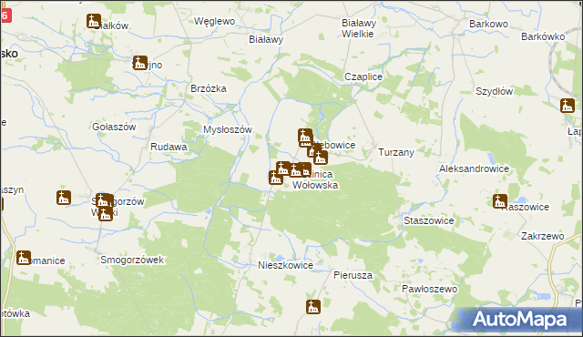 mapa Trzcinica Wołowska, Trzcinica Wołowska na mapie Targeo