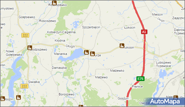 mapa Turze gmina Tczew, Turze gmina Tczew na mapie Targeo