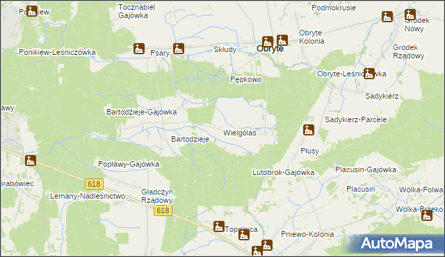 mapa Wielgolas gmina Obryte, Wielgolas gmina Obryte na mapie Targeo