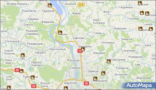 mapa Wielogłowy gmina Chełmiec, Wielogłowy gmina Chełmiec na mapie Targeo