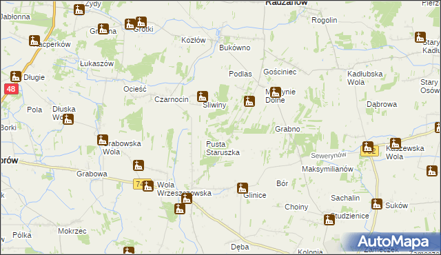 mapa Witoldów gmina Przytyk, Witoldów gmina Przytyk na mapie Targeo