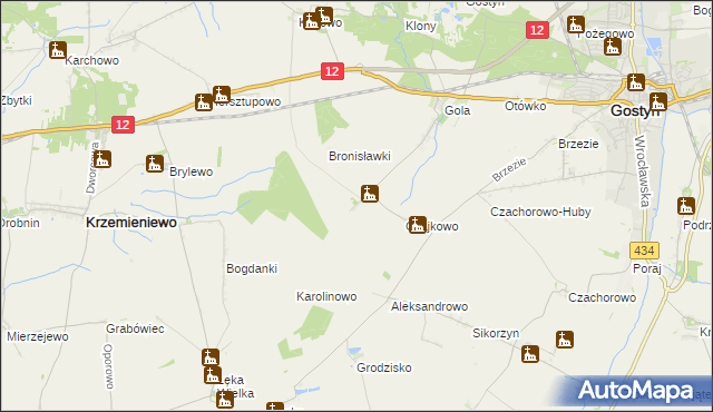 mapa Witoldowo gmina Gostyń, Witoldowo gmina Gostyń na mapie Targeo