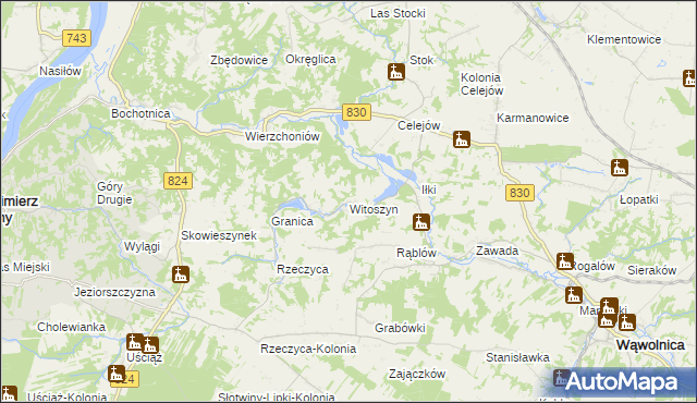 mapa Witoszyn gmina Kazimierz Dolny, Witoszyn gmina Kazimierz Dolny na mapie Targeo