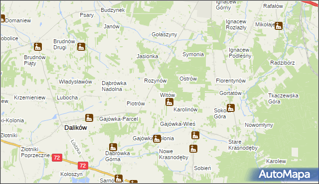 mapa Witów gmina Dalików, Witów gmina Dalików na mapie Targeo