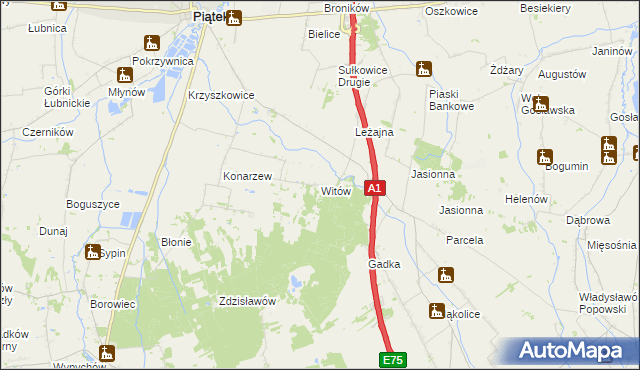 mapa Witów gmina Piątek, Witów gmina Piątek na mapie Targeo