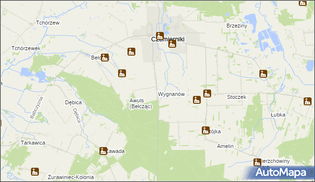 mapa Wygnanów gmina Czemierniki, Wygnanów gmina Czemierniki na mapie Targeo