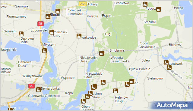 mapa Wygoda gmina Ślesin, Wygoda gmina Ślesin na mapie Targeo