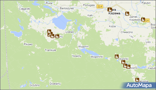 mapa Wygonin, Wygonin na mapie Targeo