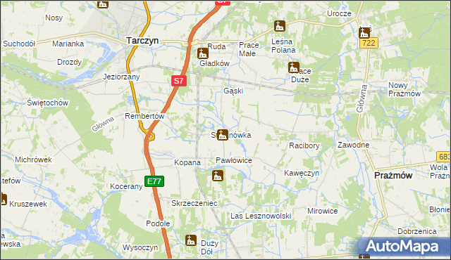 mapa Wylezin gmina Tarczyn, Wylezin gmina Tarczyn na mapie Targeo