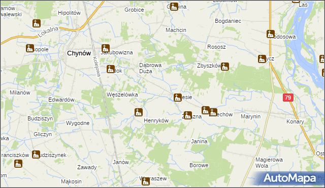 mapa Zadębie gmina Chynów, Zadębie gmina Chynów na mapie Targeo