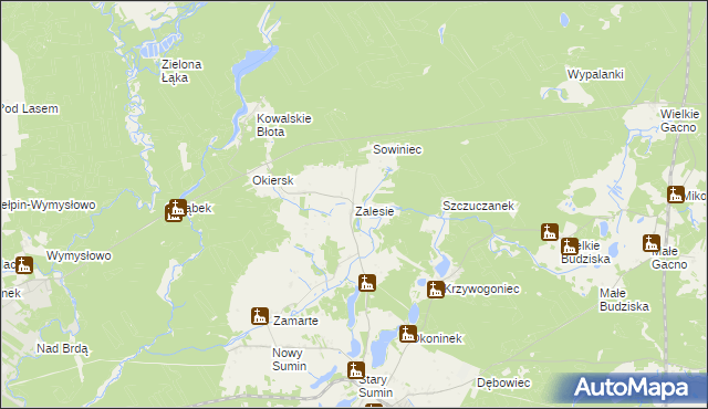 mapa Zalesie gmina Cekcyn, Zalesie gmina Cekcyn na mapie Targeo