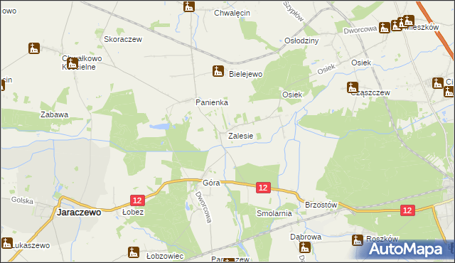 mapa Zalesie gmina Jaraczewo, Zalesie gmina Jaraczewo na mapie Targeo