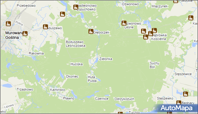 mapa Zielonka gmina Murowana Goślina, Zielonka gmina Murowana Goślina na mapie Targeo