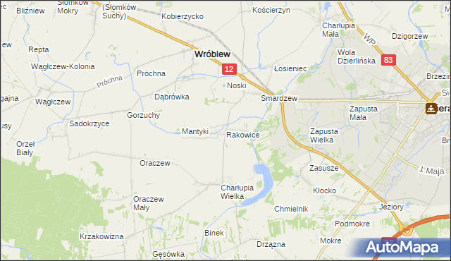 mapa Rakowice gmina Wróblew, Rakowice gmina Wróblew na mapie Targeo