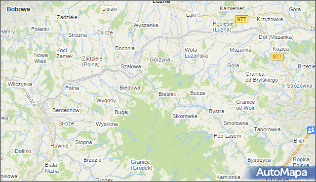 mapa Bieśnik gmina Łużna, Bieśnik gmina Łużna na mapie Targeo
