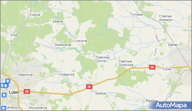 mapa Dąbrowa Górna gmina Lubin, Dąbrowa Górna gmina Lubin na mapie Targeo