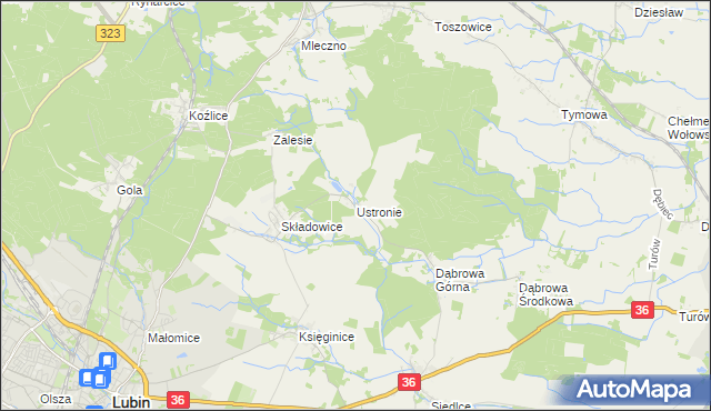 mapa Ustronie gmina Lubin, Ustronie gmina Lubin na mapie Targeo