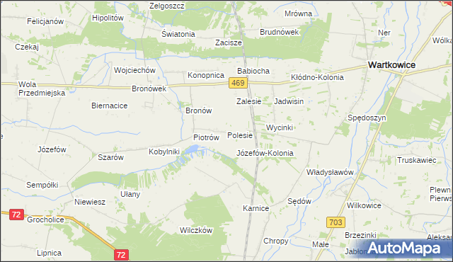 mapa Polesie gmina Wartkowice, Polesie gmina Wartkowice na mapie Targeo