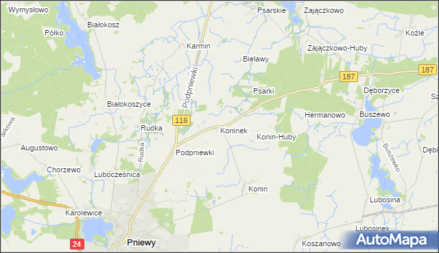 mapa Koninek gmina Pniewy, Koninek gmina Pniewy na mapie Targeo