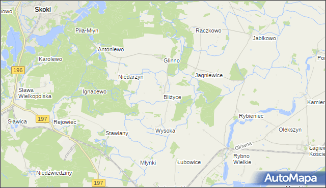 mapa Bliżyce gmina Skoki, Bliżyce gmina Skoki na mapie Targeo