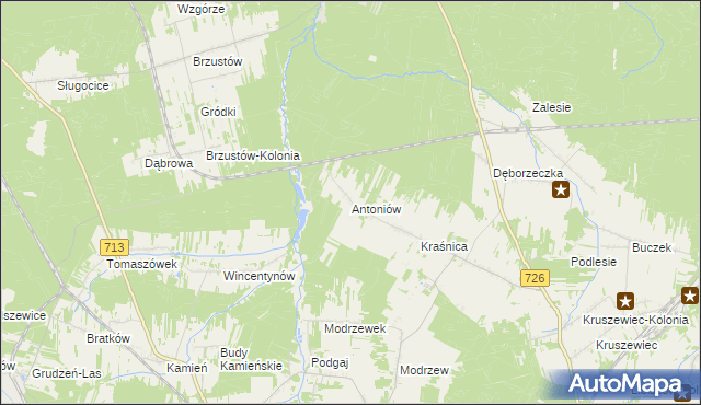 mapa Antoniów gmina Opoczno, Antoniów gmina Opoczno na mapie Targeo
