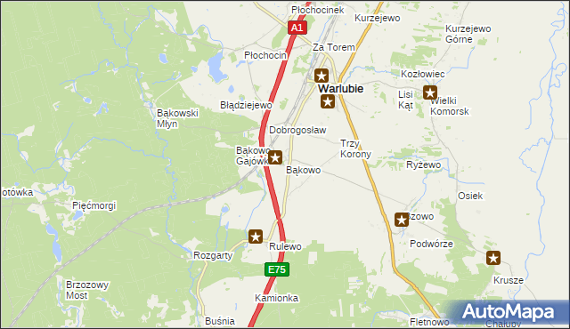 mapa Bąkowo gmina Warlubie, Bąkowo gmina Warlubie na mapie Targeo