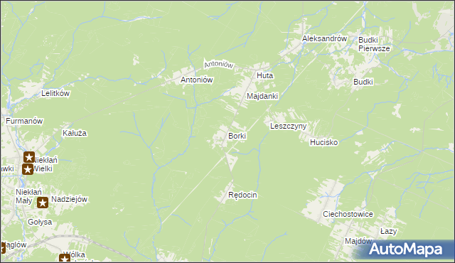 mapa Borki gmina Chlewiska, Borki gmina Chlewiska na mapie Targeo