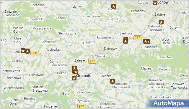 mapa Chojnik gmina Gromnik, Chojnik gmina Gromnik na mapie Targeo