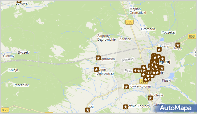 mapa Dąbrowica gmina Biłgoraj, Dąbrowica gmina Biłgoraj na mapie Targeo