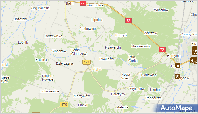 mapa Ewelinów gmina Poddębice, Ewelinów gmina Poddębice na mapie Targeo