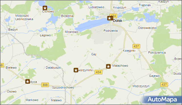 mapa Gaj gmina Gostyń, Gaj gmina Gostyń na mapie Targeo