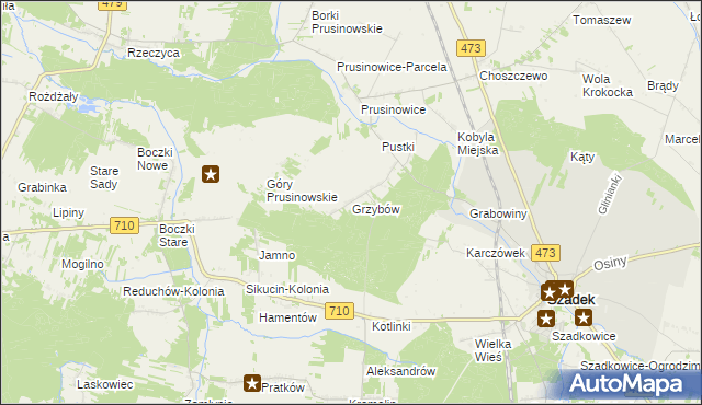 mapa Grzybów gmina Szadek, Grzybów gmina Szadek na mapie Targeo