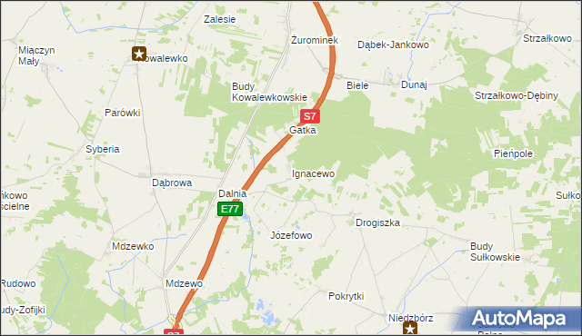 mapa Ignacewo gmina Strzegowo, Ignacewo gmina Strzegowo na mapie Targeo