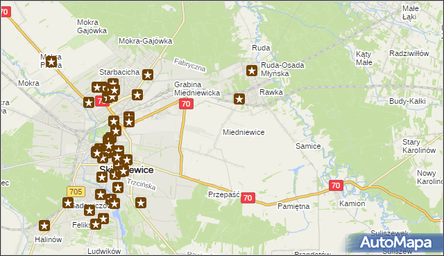 mapa Miedniewice gmina Skierniewice, Miedniewice gmina Skierniewice na mapie Targeo
