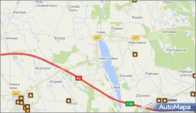 mapa Niepruszewo, Niepruszewo na mapie Targeo