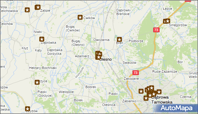 mapa Olesno powiat dąbrowski, Olesno powiat dąbrowski na mapie Targeo