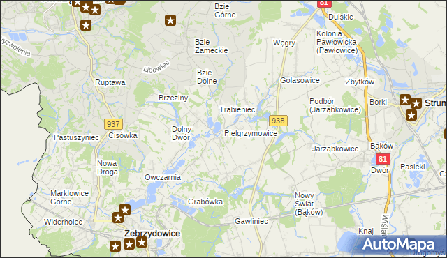 mapa Pielgrzymowice gmina Pawłowice, Pielgrzymowice gmina Pawłowice na mapie Targeo