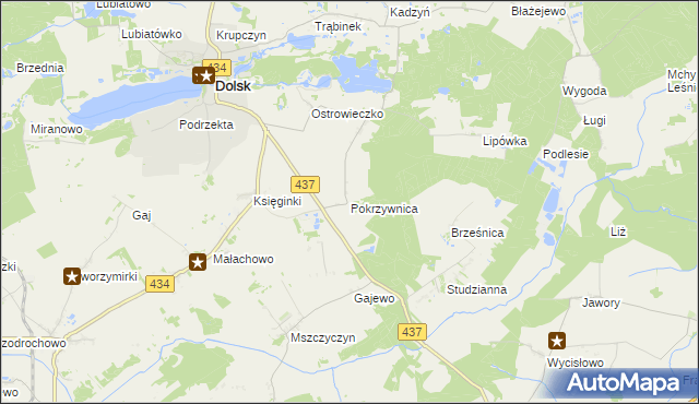 mapa Pokrzywnica gmina Dolsk, Pokrzywnica gmina Dolsk na mapie Targeo