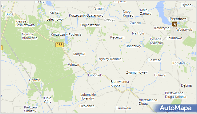 mapa Rysiny-Kolonia, Rysiny-Kolonia na mapie Targeo