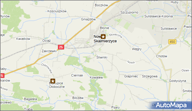 mapa Śliwniki gmina Nowe Skalmierzyce, Śliwniki gmina Nowe Skalmierzyce na mapie Targeo