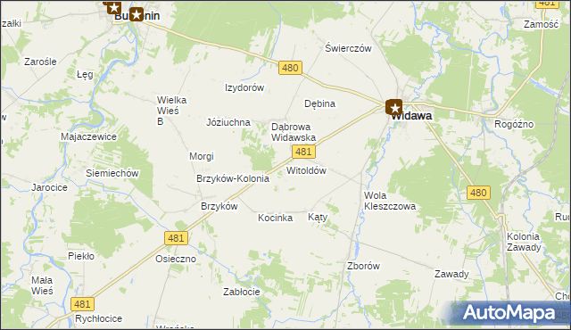 mapa Witoldów gmina Widawa, Witoldów gmina Widawa na mapie Targeo