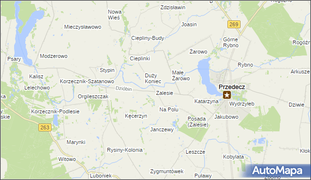 mapa Zalesie gmina Przedecz, Zalesie gmina Przedecz na mapie Targeo