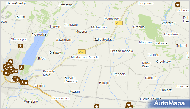 mapa Żelazków gmina Słupca, Żelazków gmina Słupca na mapie Targeo