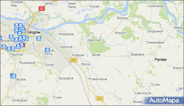 mapa Borek gmina Głogów, Borek gmina Głogów na mapie Targeo