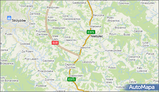 mapa Jawornik gmina Niebylec, Jawornik gmina Niebylec na mapie Targeo