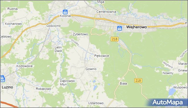 mapa Pętkowice gmina Wejherowo, Pętkowice gmina Wejherowo na mapie Targeo