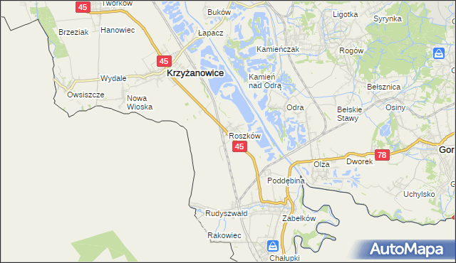 mapa Roszków gmina Krzyżanowice, Roszków gmina Krzyżanowice na mapie Targeo